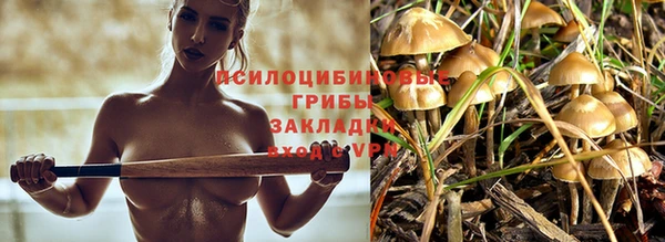 ALPHA-PVP Нефтегорск