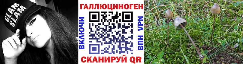 Псилоцибиновые грибы Psilocybe  Котельниково 